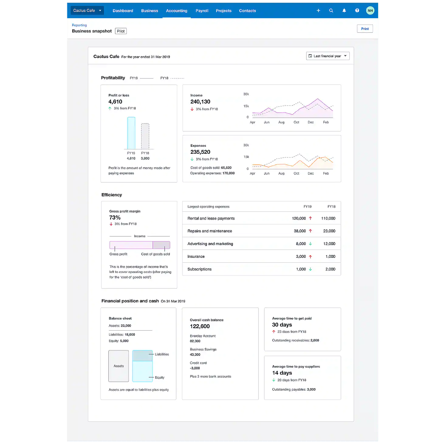 Xero features for nonprofits, business snapshot display